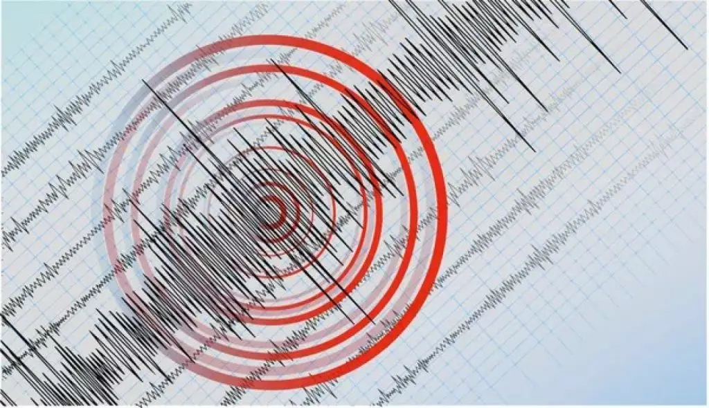В Жамбылской области произошло землетресение магнитудой 4,5