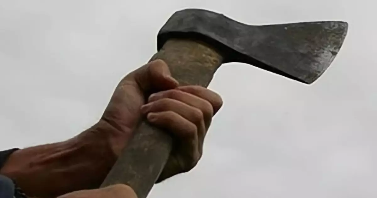  Анасын, жиенін және қонақтарды өлтірген ер адам жындыханаға жатқызылды 