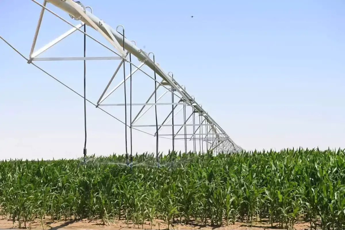 Қызылордада ірі агрокластер бой көтеруде: «Harvest Agro» жобасына 26 млрд теңгеден астам инвестиция тартылды
