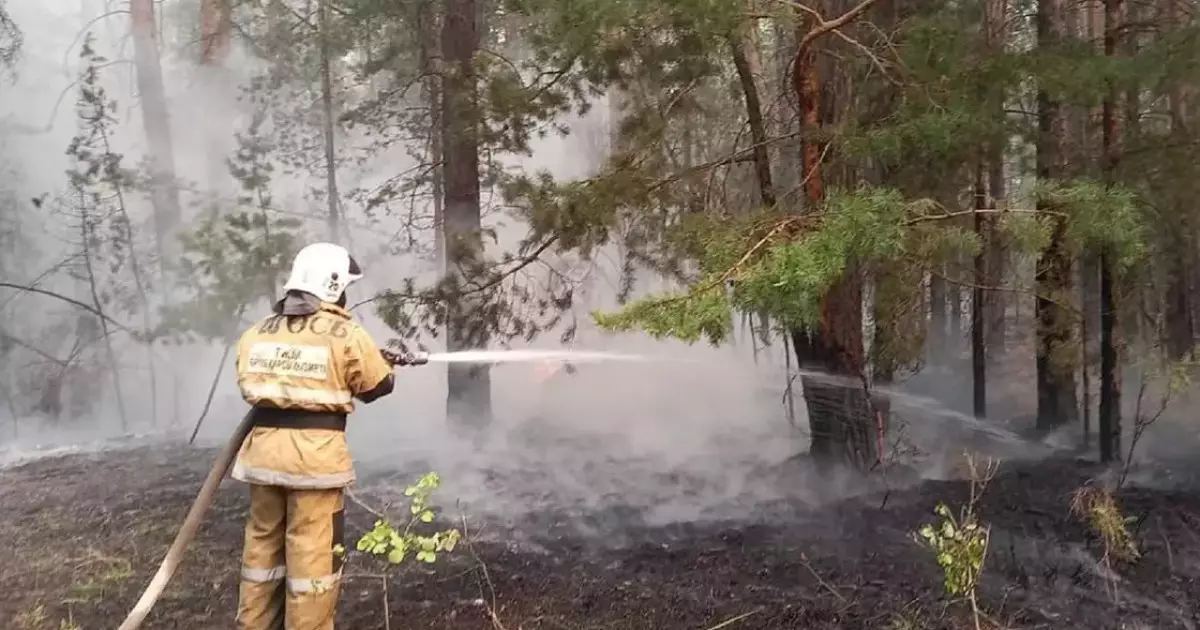   Елімізде 5 орман өрті тіркелді   