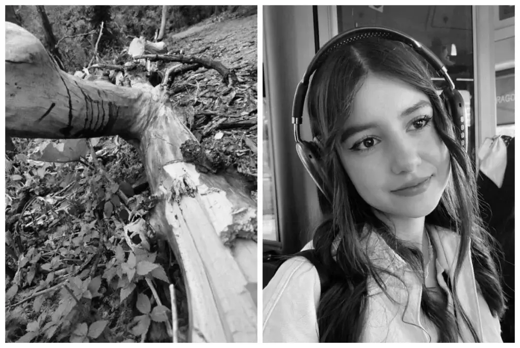 Трагедия в роще Баума: скончалась 19-летняя девушка, на которую упало дерево