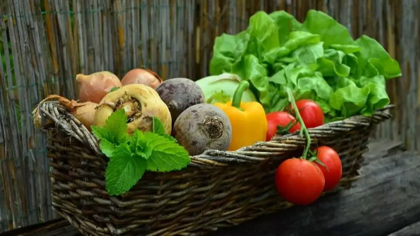 Рост цен на социальные продукты замедлился в Казахстане