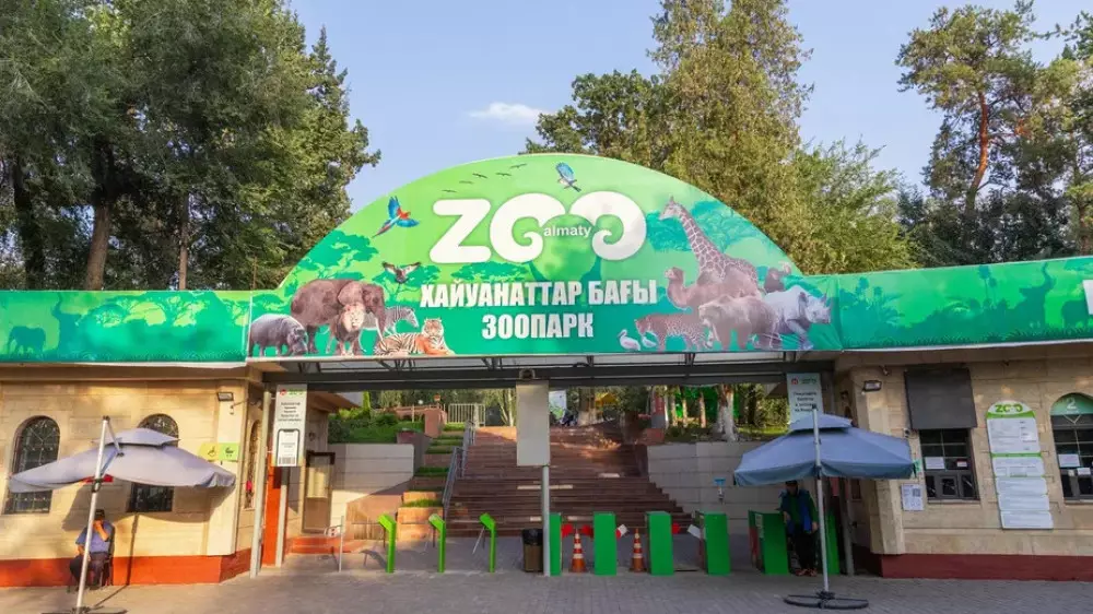 Қазақстанда зообақтар азайса да, рекорд табыс тапқан