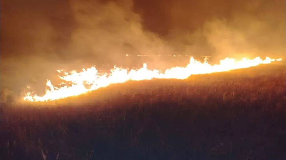 Ақмола облысында бір түнде бірнеше құрғақ шөп өрті сөндірілді