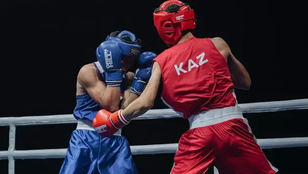 22 боксёра из Казахстана вышли в финалы ЧА-2026 по боксу. А сколько у Узбекистана?