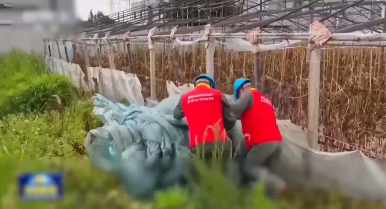 Более 260 тысяч человек эвакуированы в Китае из-за тайфуна «Бави»