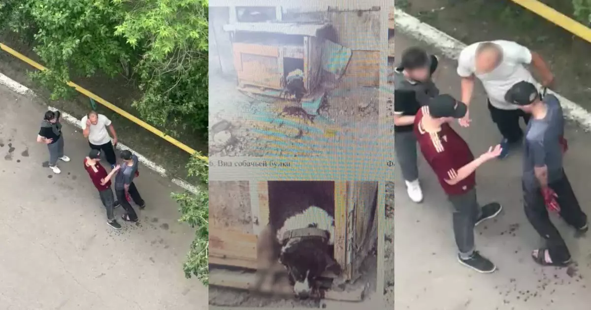  Петропавлда итке бірнеше рет пышақ сұққан тұрғын сот алдында жауап береді 