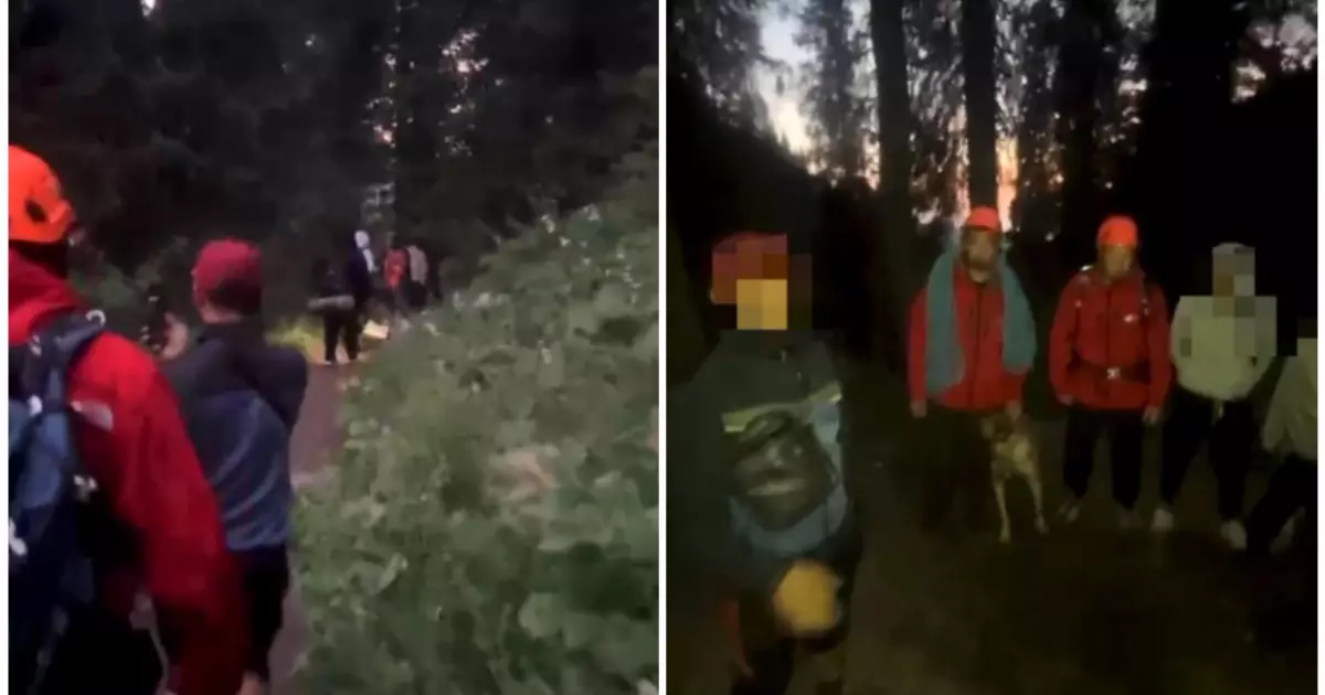  Алматыдағы тауда жоғалып кеткен 4 жасөспірім табылды 