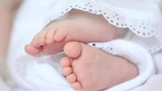  Әйел қонақ үйде босанып, нәрестені кәріз құбырына ағызып жіберген 