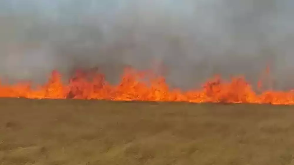 “Степногорскіде тыныс алу мүмкін емес“: Ақмола облысында бір тәулікте 10 табиғи өрт болды