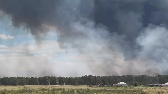  Абай облысындағы орман өрті: жақын орналасқан лагерьден балалар шұғыл көшірілді 