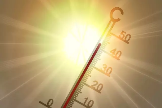Шымкентте +48°С, Алматыда +42°С: Қазақстанның мегаполистерінде рекордтық аптап күтілуде