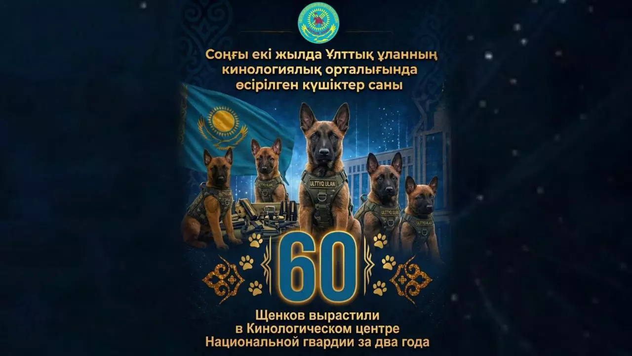 Ұлттық ұланның кинология орталығында соңғы екі жылда 60 күшік өсірілді