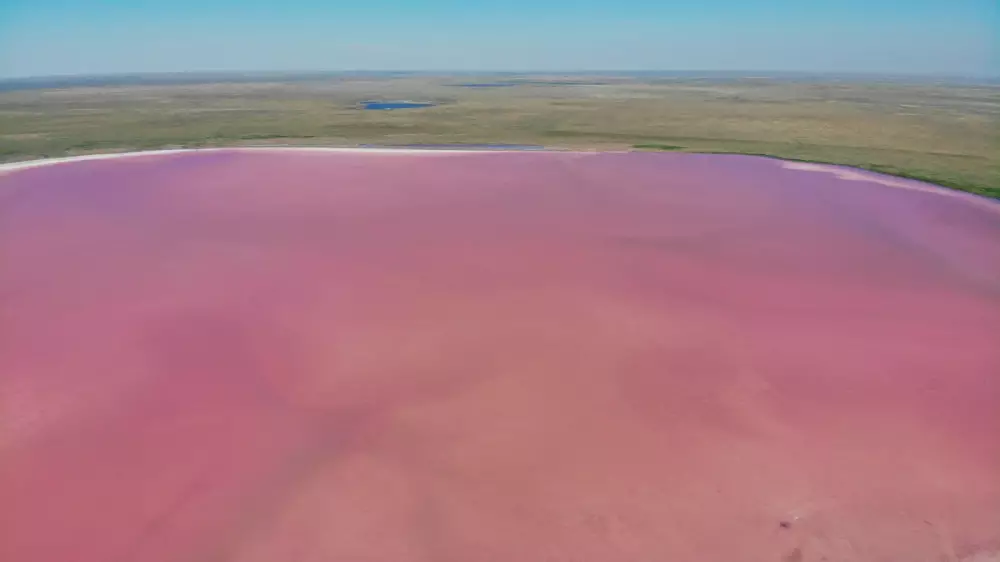 Әйгілі қызғылт Көбейтұз көлі қорғауға алынады