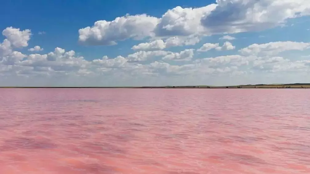  Мемлекет басшысы Көбейтұз көлінің жай-күйіне назар аударды 