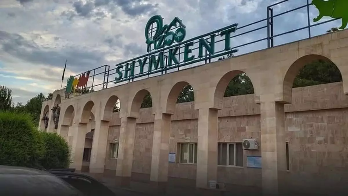 В зоопарке Шымкента показали, как спасают животных от жары