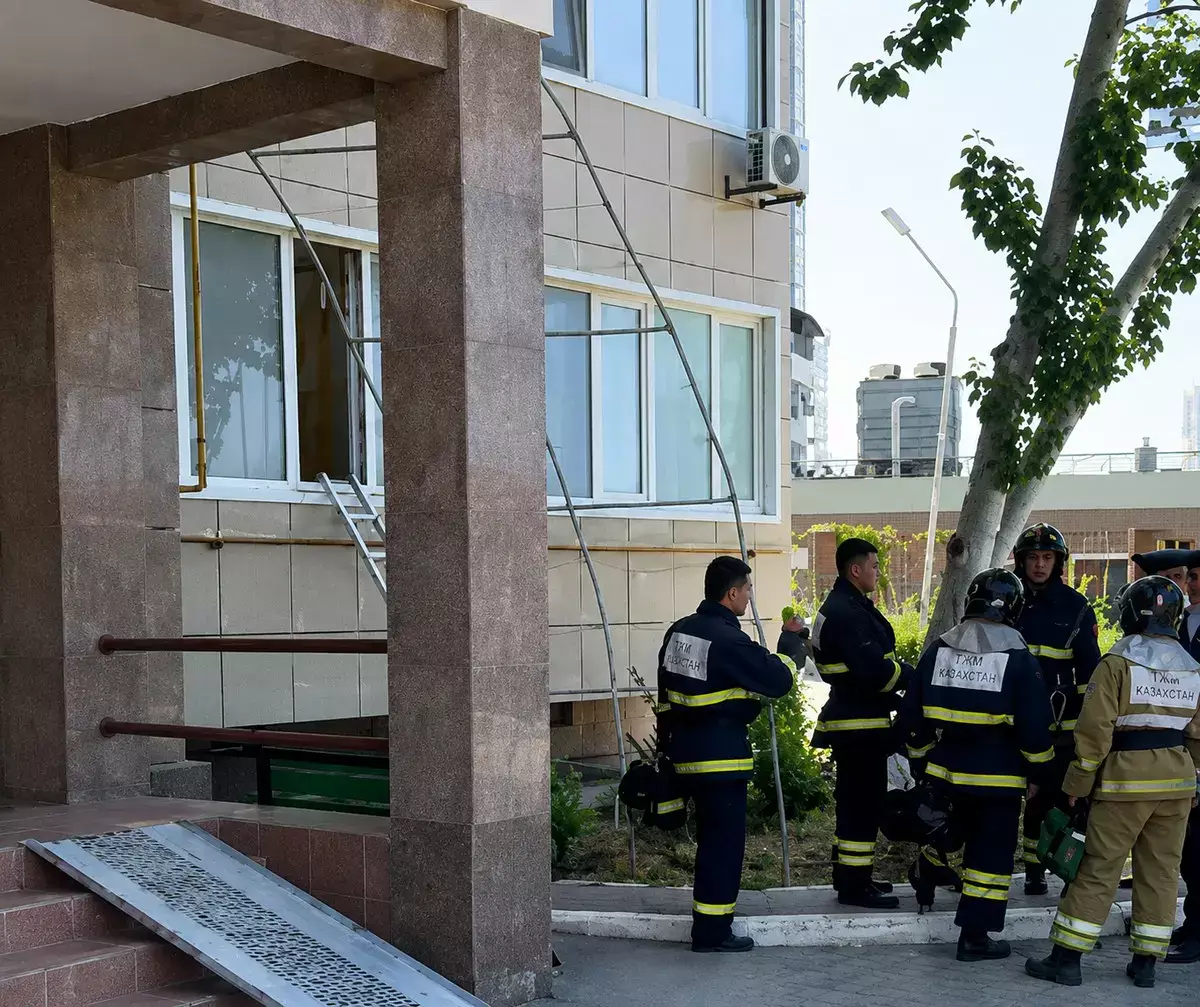 Запах, тучи мух и десятки кошек: жильцы ЖК «КазТрансОйл» в Актау оказались в патовой ситуации - новости на Lada.kz 18.07.2026
