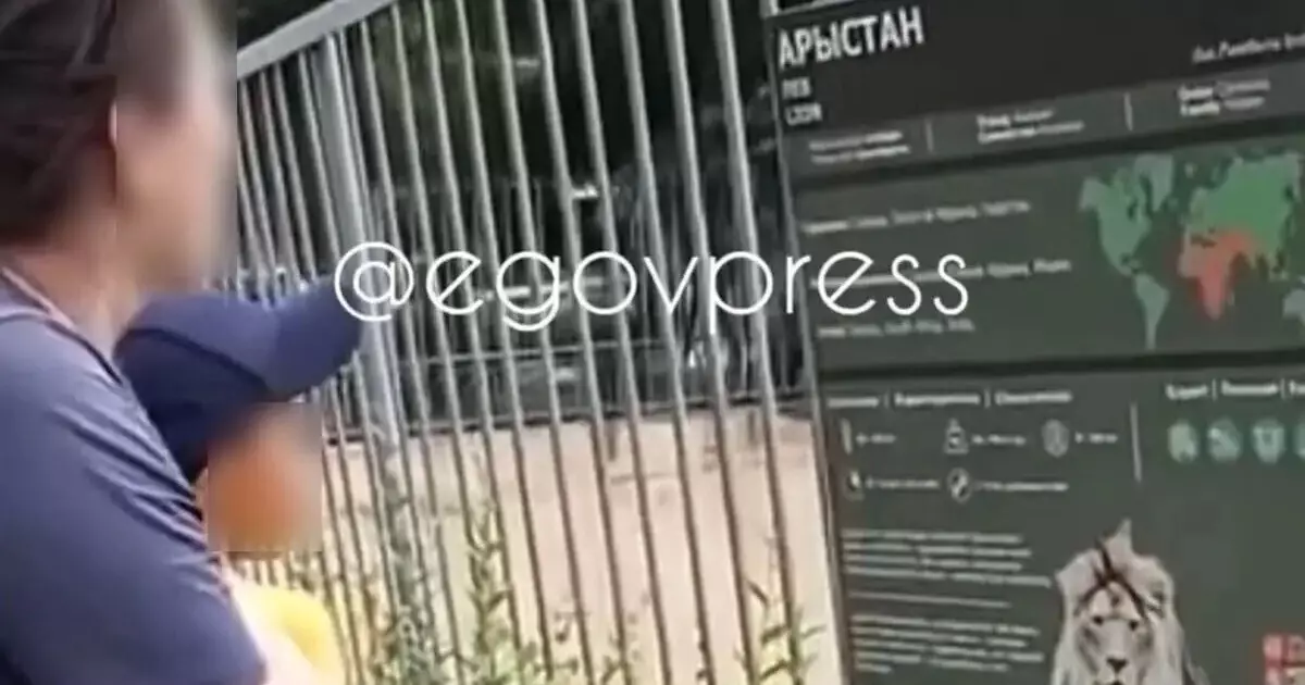  Алматылық келіншек балалардың көзінше зообақтағы арыстандарға тас лақтырған 