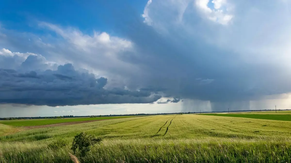  21 шілдеде бірнеше өңірде дауыл, аптап ыстық пен өрт қаупіне байланысты ескерту жарияланды 