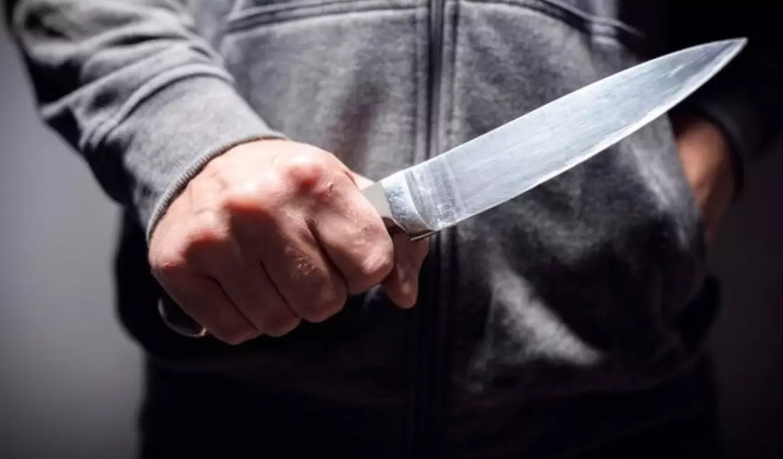  СҚО-да ер адам 74 жастағы зейнеткерді пышақтап өлтірді 