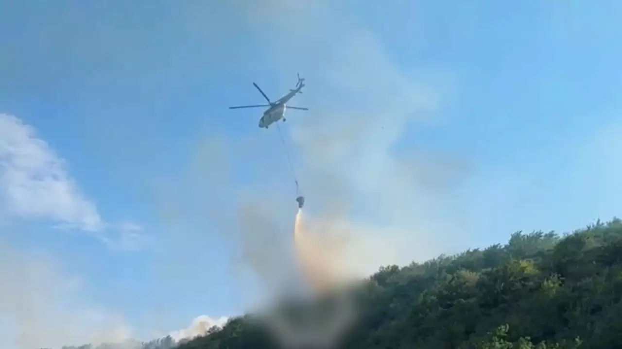 Пожар в горной местности Алматинской области ликвидирован