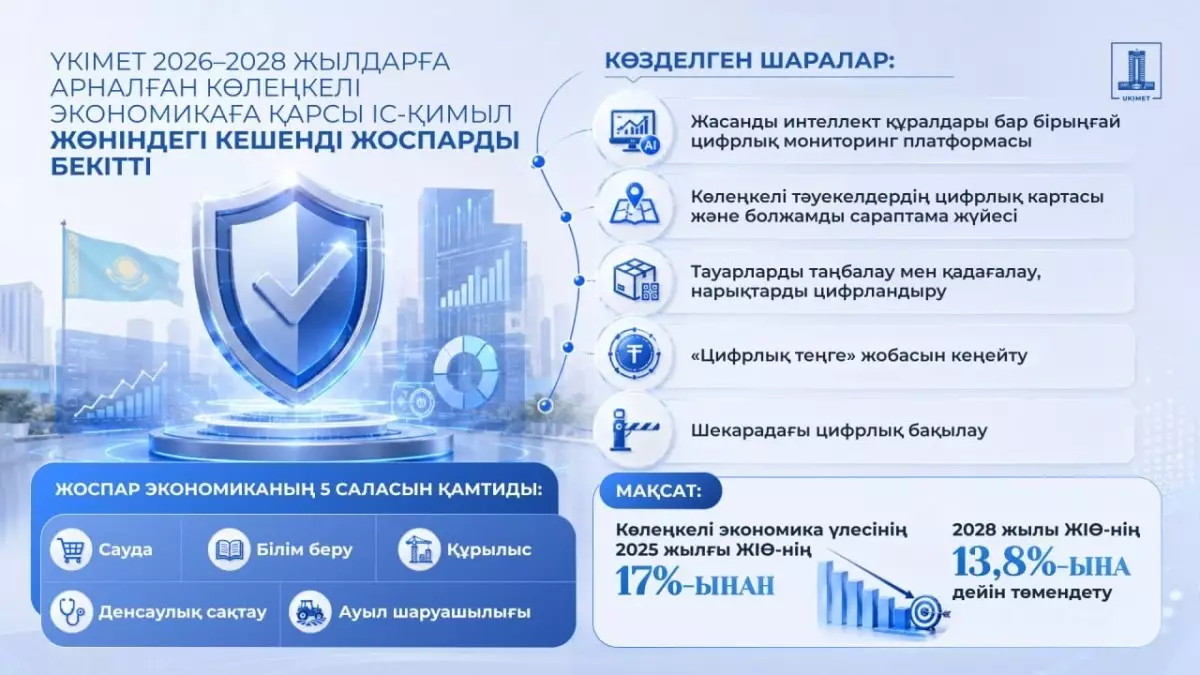  Үкімет көлеңкелі экономикамен күрестің 2028 жылға дейінгі жаңа жоспарын бекітті 