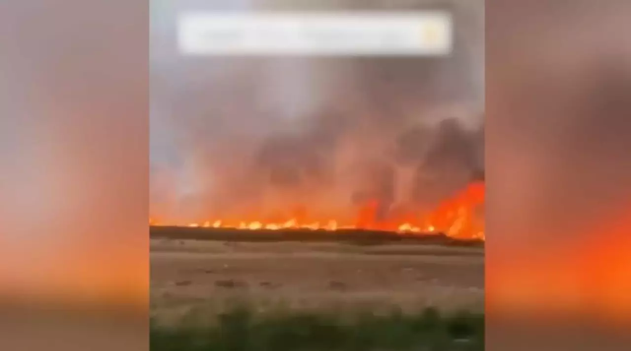 Cтепной пожар продолжают тушить в области Абай