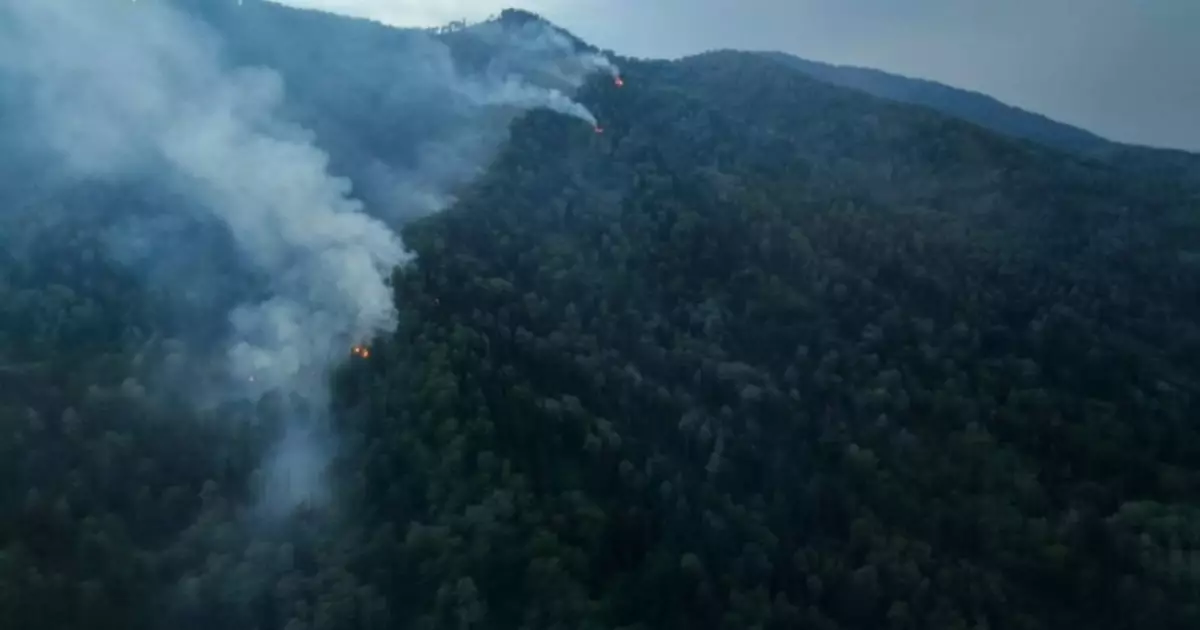  Бүгін найзағайдан тұтанған 19 орман өрті сөндірілді 