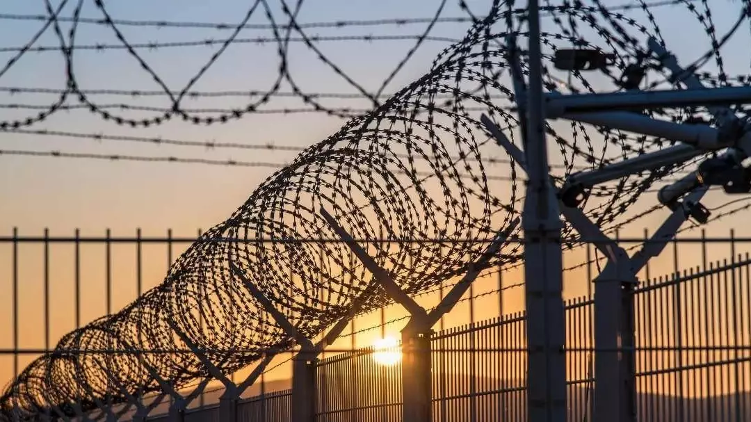  Әкімшілік рақымшылық: Жетісуда 19 мыңнан астам азамат жауапкершіліктен босатылды 