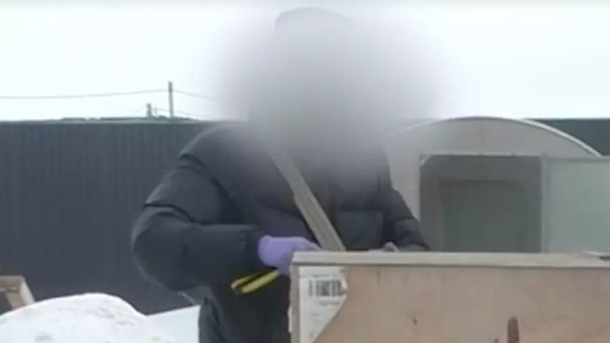  Қазақстанның ұлттық құсбегілік құрамасының мүшесі қамауға алынды 