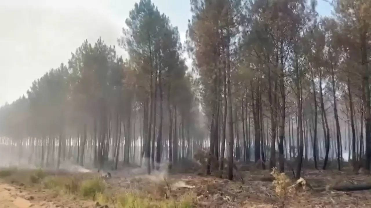 Францияда өрт: 20 мың адам көшірілді