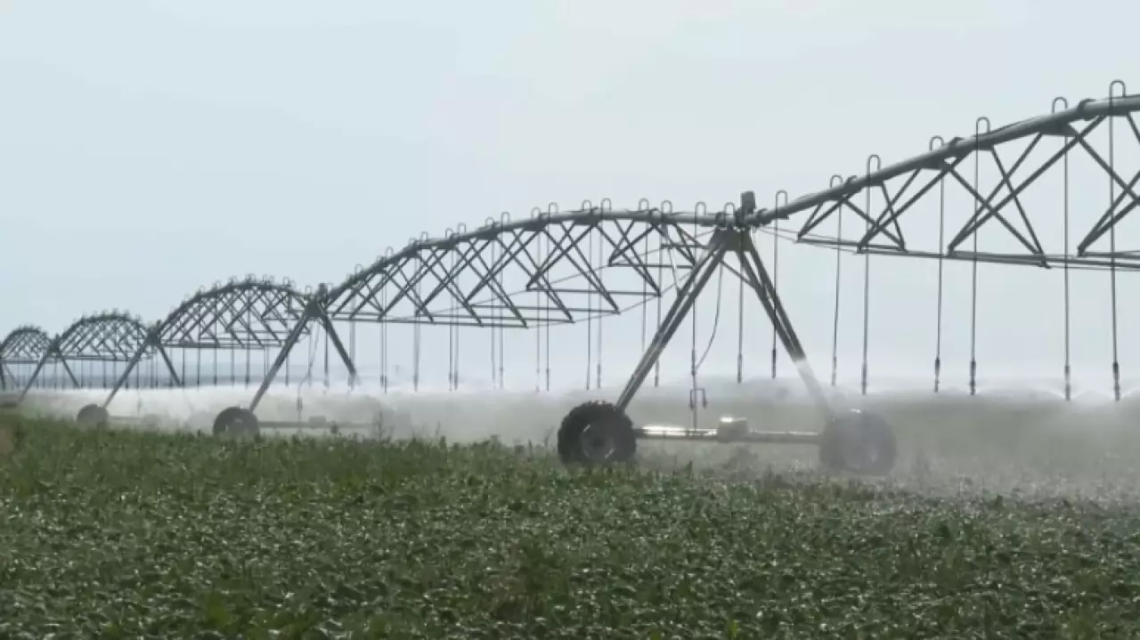 Растениеводы Жетысу экономят поливную воду