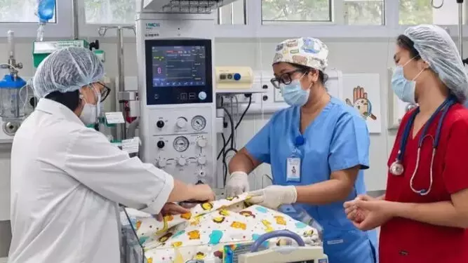 Пхукеттен өлім аузында әкелінген шақалақ екі айдан соң ауруханадан шықты