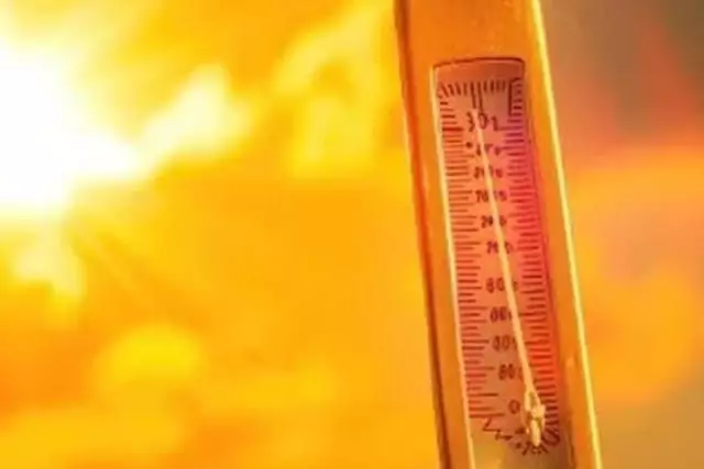 «+45 градус ыстық»: 26 шілдедеге арналған ауа райы болжамы