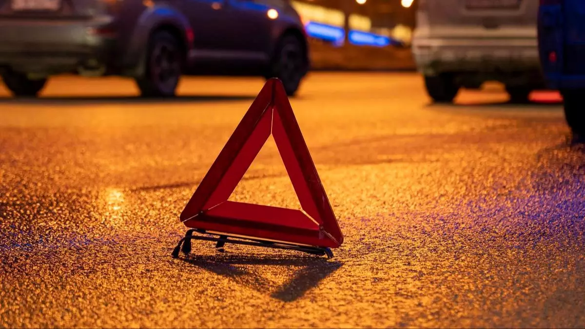  Жеңіл көлік ағашқа соғылып, алты адам тірідей жанып кетті 