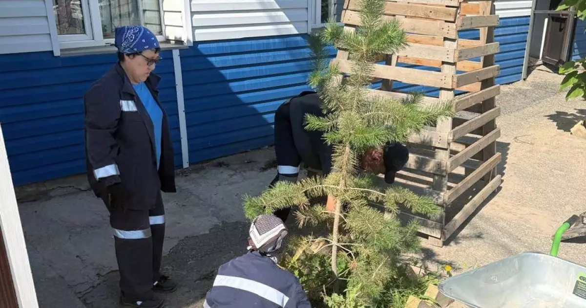  Қазақмыс кәсіпорындарында аумақты абаттандыру жұмысы жалғасуда 