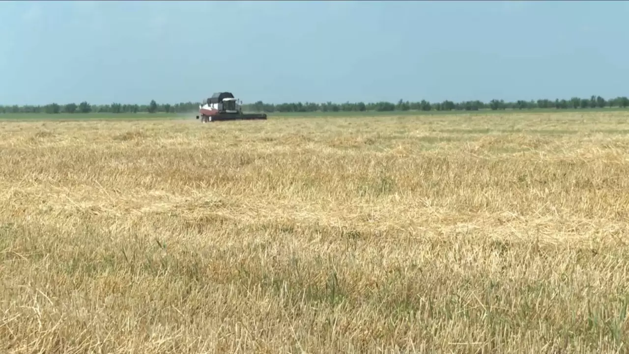 Ақтөбе облысына күзгі егін орағына 8 мың тонна дизель бөлінді
