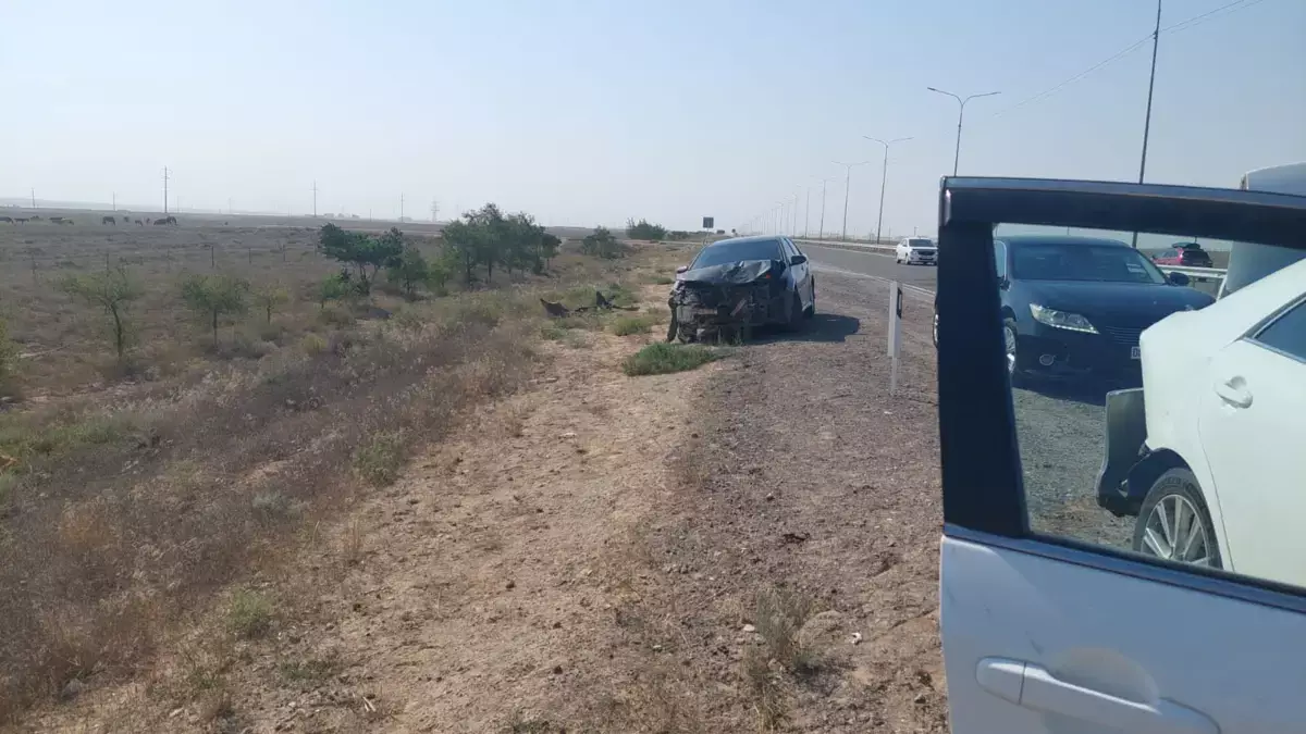 ДТП с лошадьми в Актау прокомментировали в полиции - новости на Lada.kz 26.07.2026
