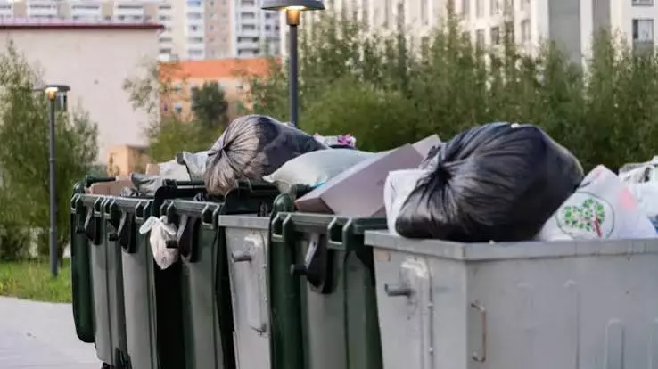 Шокирующая находка в Экибастузе: в мусорном баке обнаружено расчлененное тело женщины