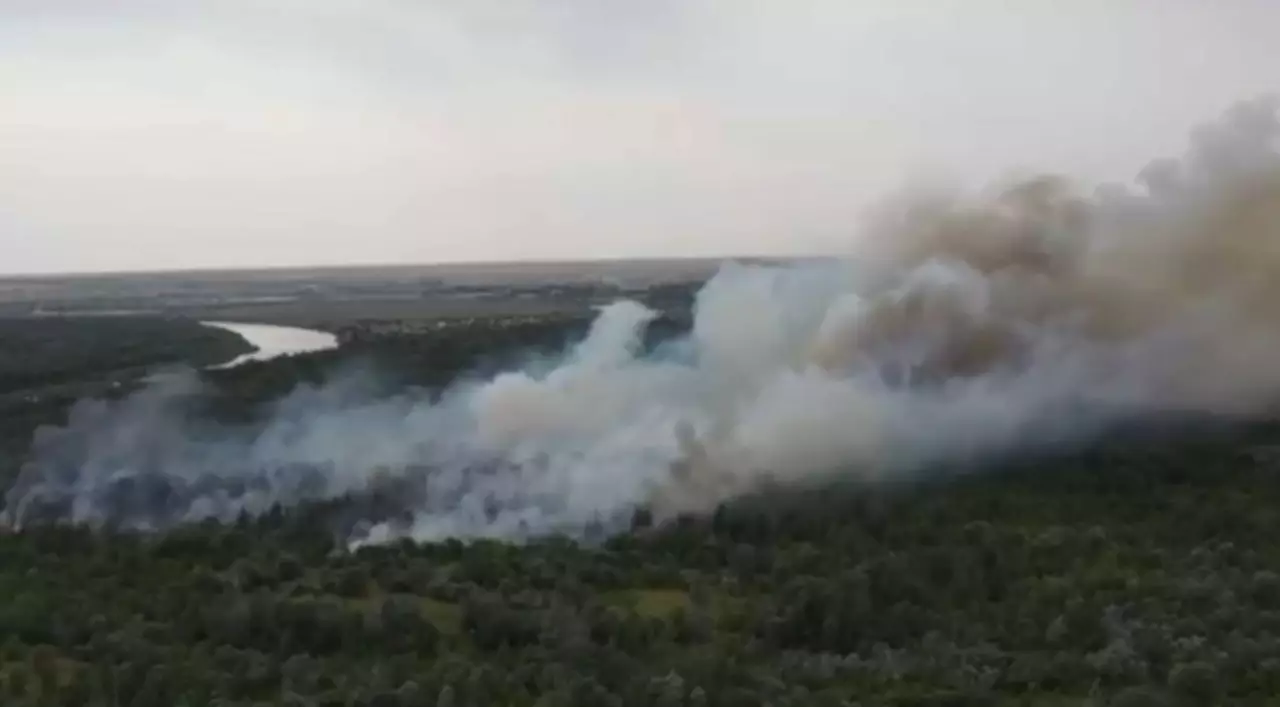 Пожар в Ханской роще локализован