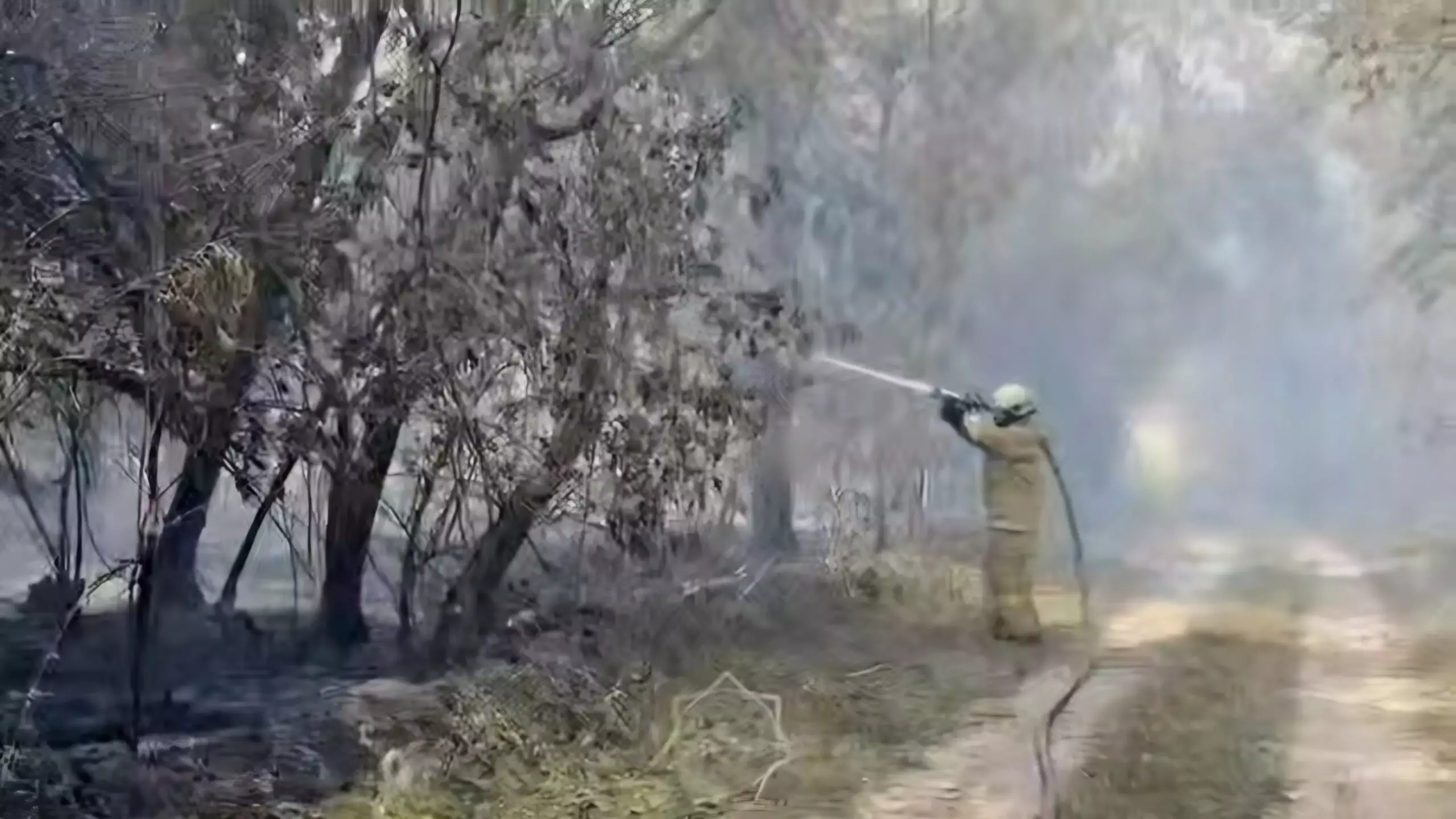 Батыс Қазақстандағы орман өртін сөндіруге тікұшақтар жұмылдырылды