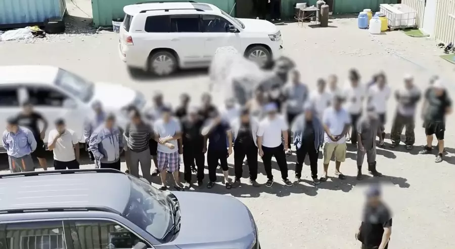 Құрамында шетел азаматтары да бар: ШҚО-да заңсыз алтын өндіргендер әшкере болды 