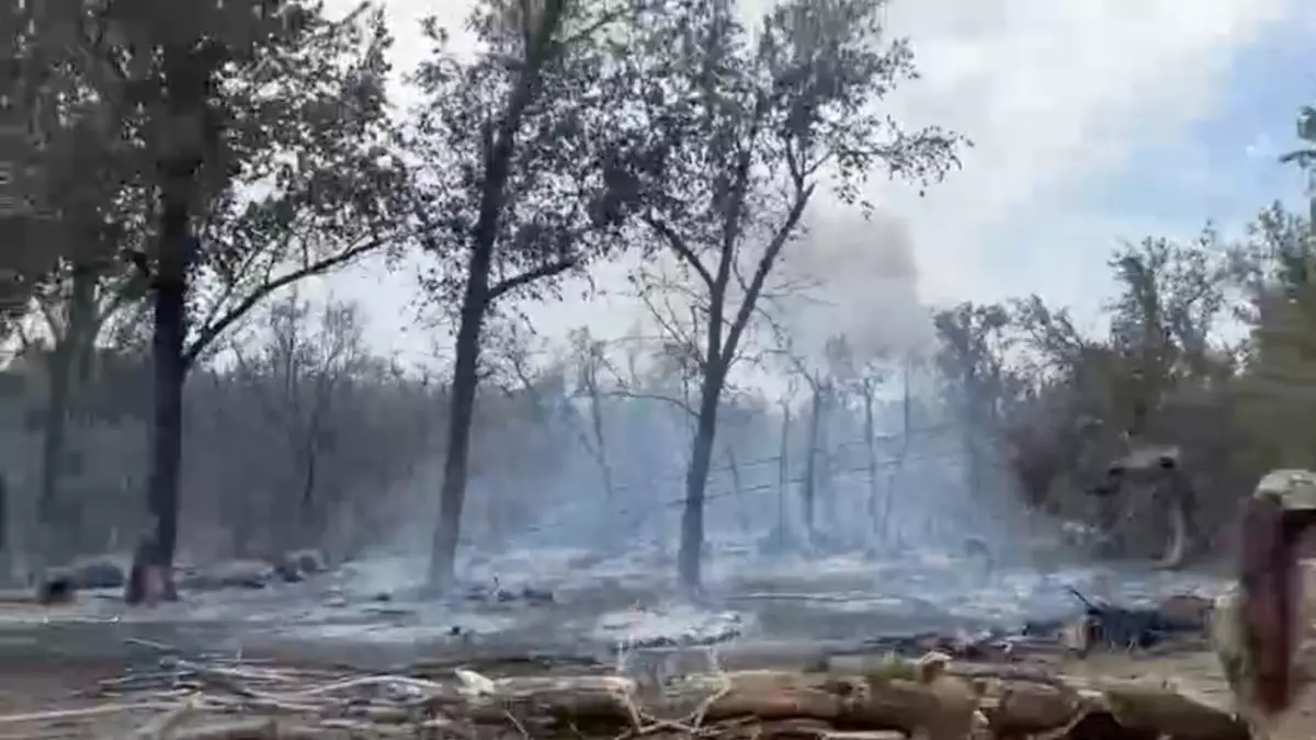  БҚО-дағы Хан тоғайындағы өртті сөндіру жұмыстары жалғасып жатыр 