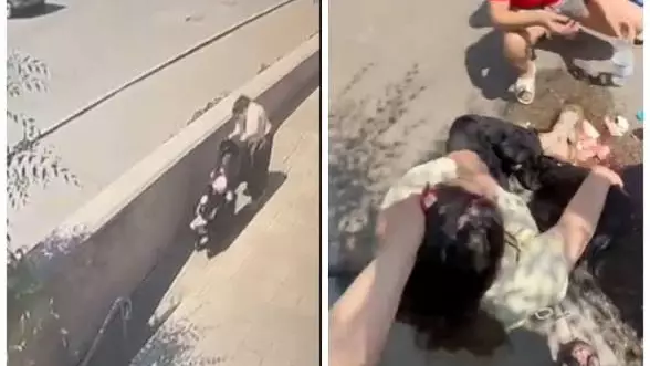 Павлодарда әйелдің басына мұз құлады: полиция кінәліні анықтады