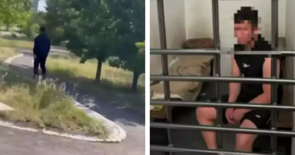  “Бір құдірет құтқарды”: Саябақта жұмысқа бара жатқан қызды ұстап алып, ер адам зорламақ болды 