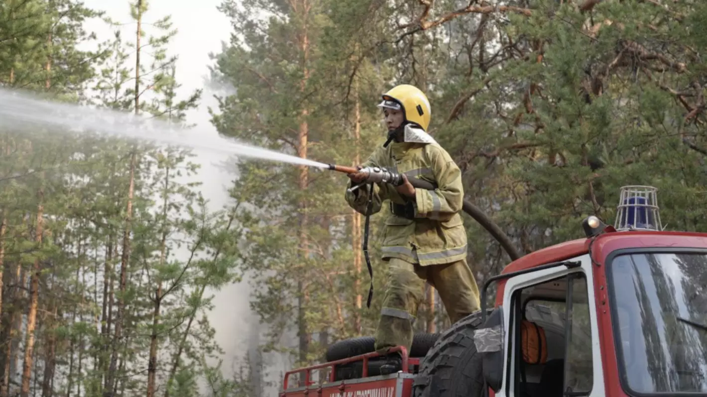 Елімізде бір күнде 6 орман өрті тіркелді