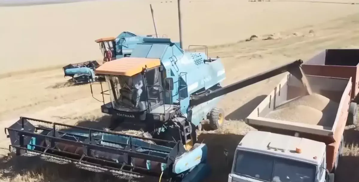 Қуаңшылық салдарынан қазақстандық диқандар астық түсімі азаяды деп алаңдап отыр