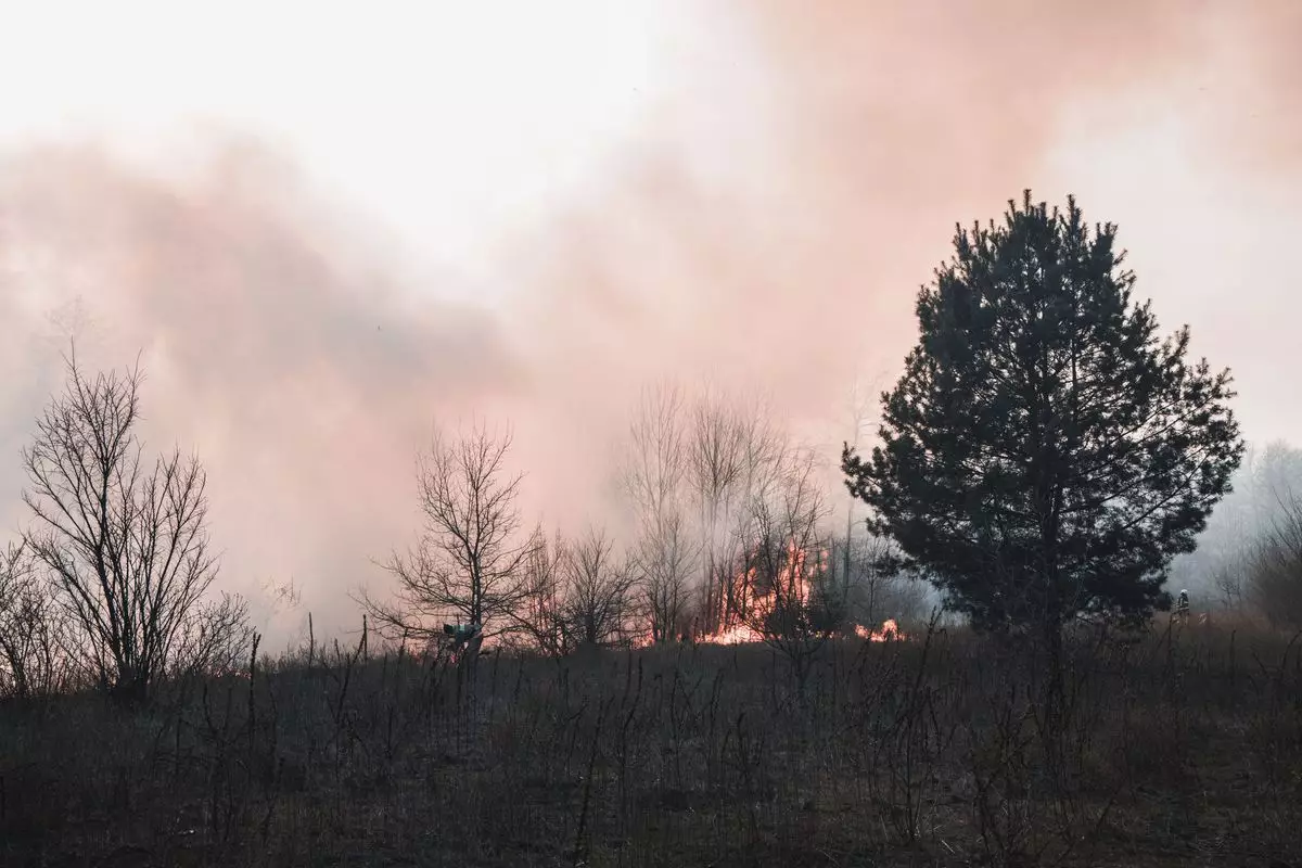 Пожар произошел в Баянаульском нацпарке