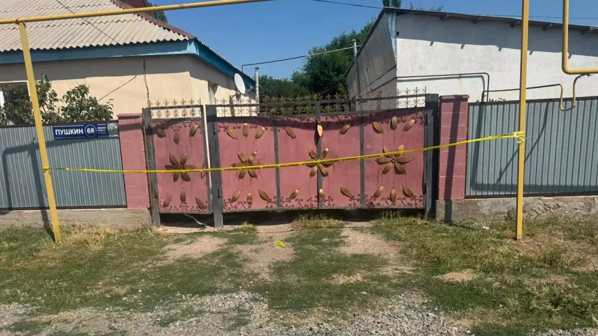  Жамбыл облысында 25 жастағы жігітті атып кетті: желіде іске қатысты күмән айтылды 