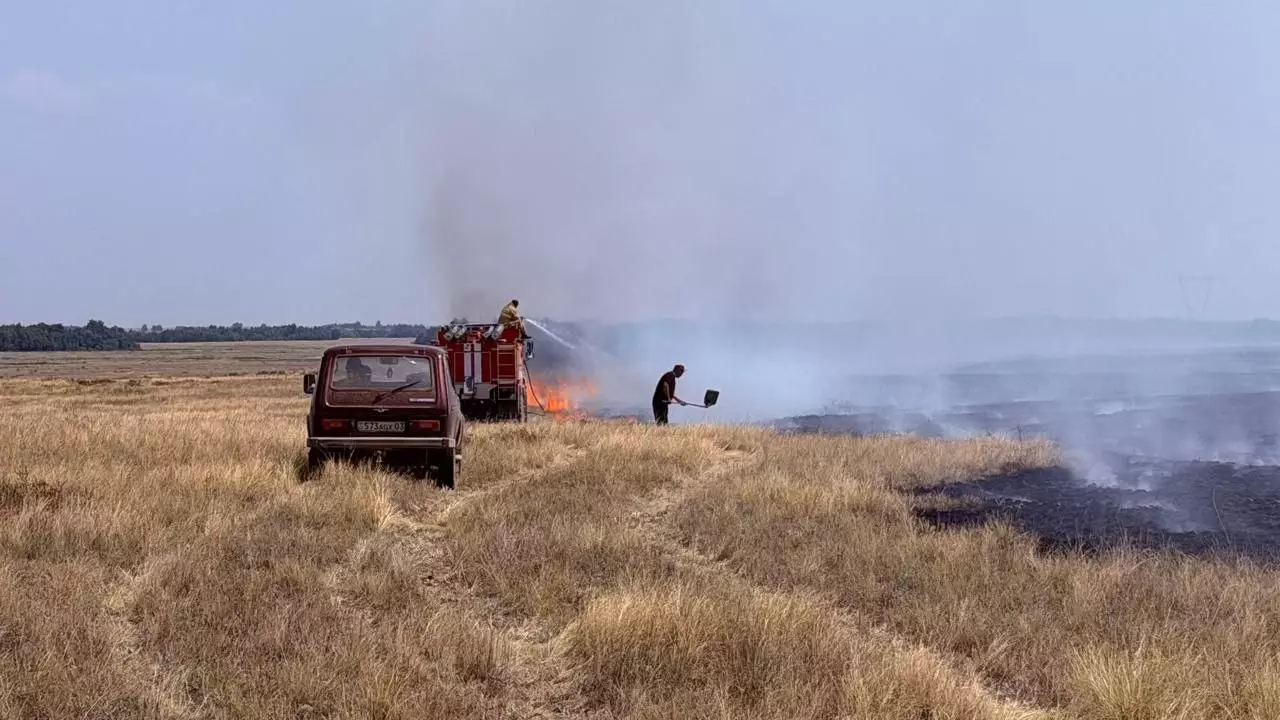 Ақмола облысында құрғақ шөп өртенді: 273 гектар аумақты жалын шарпыды